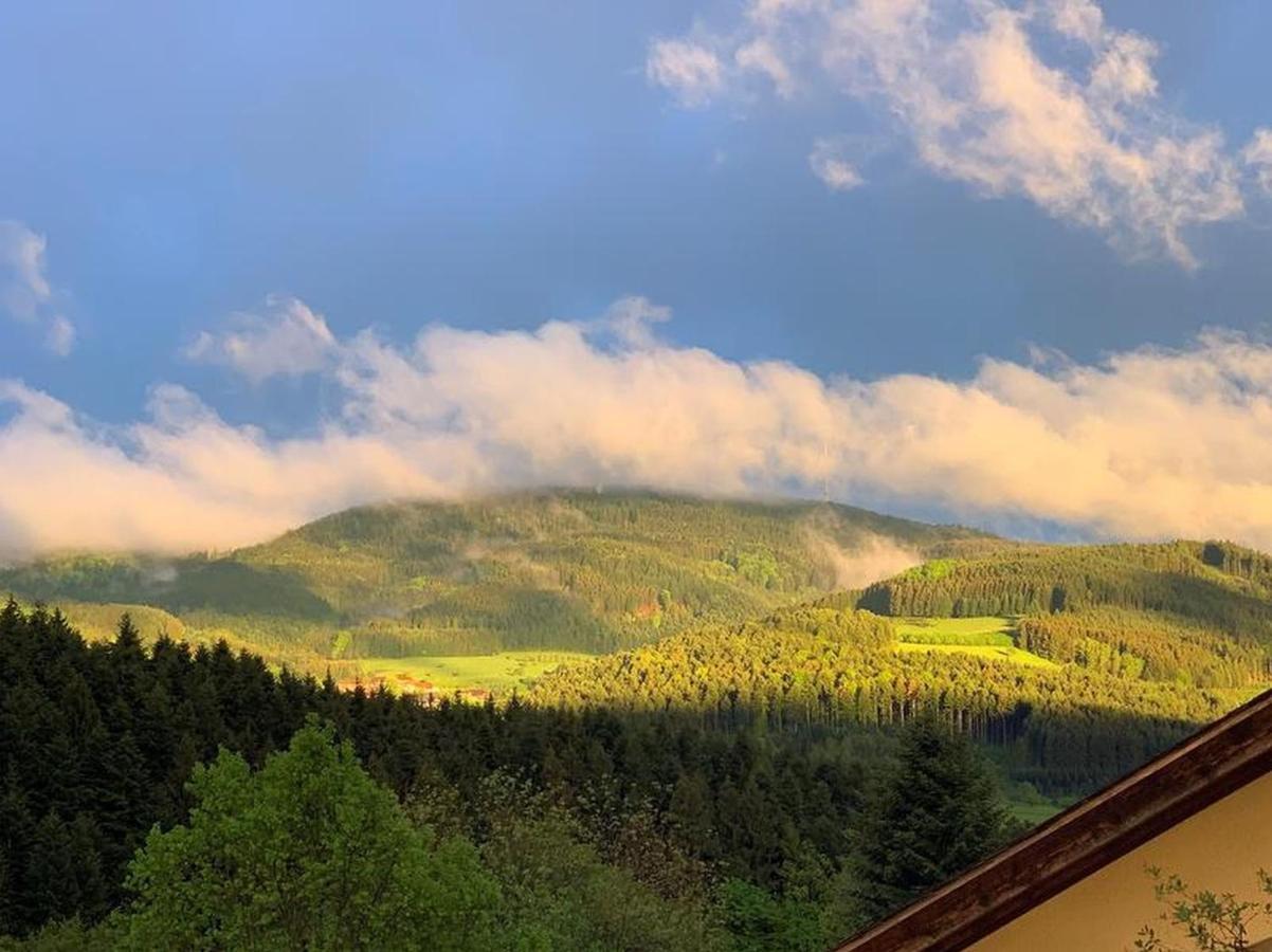 Black Forest Appartement - Brandenkopfblick Целль-ам-Хармерсбах Экстерьер фото